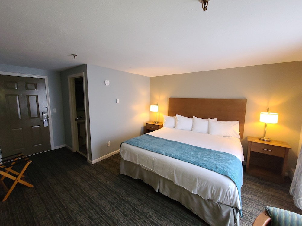 Hampton Village Inn - photo 19