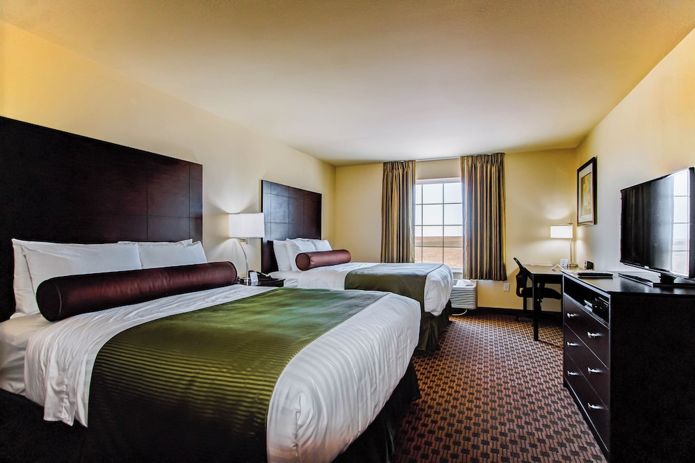 Cobblestone Inn & Suites Eads - photo 13