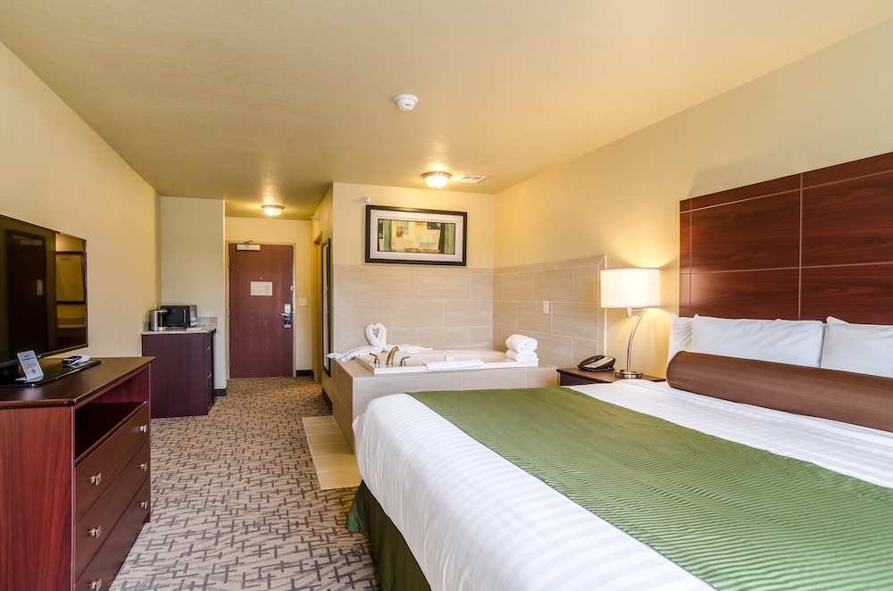 Cobblestone Inn & Suites Oberlin - photo 15