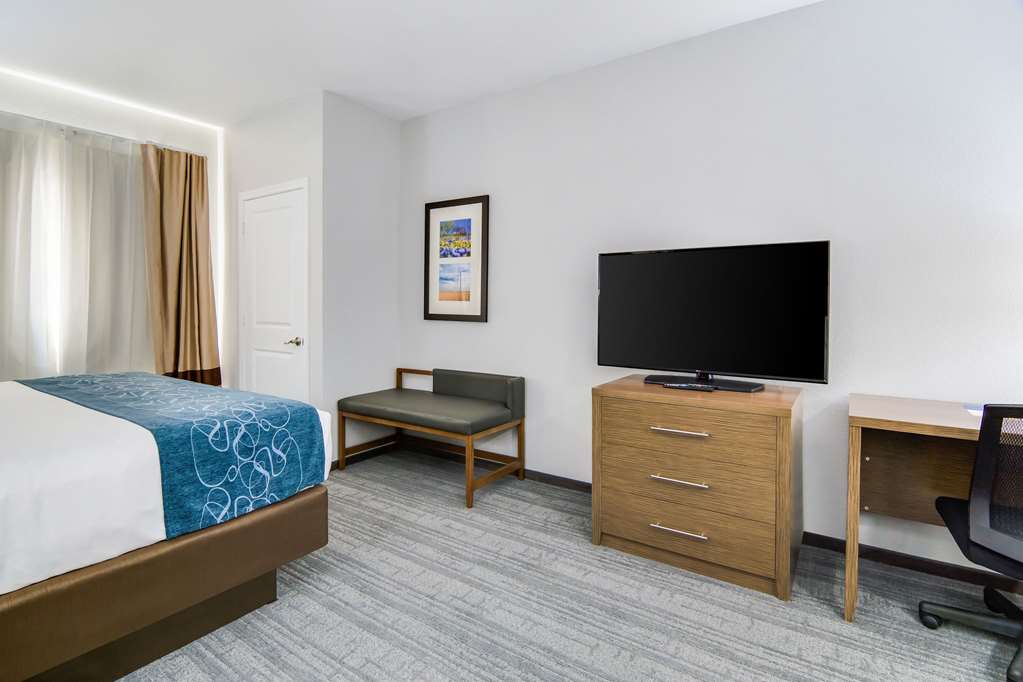 Comfort Suites DeSoto Dallas South - photo 30