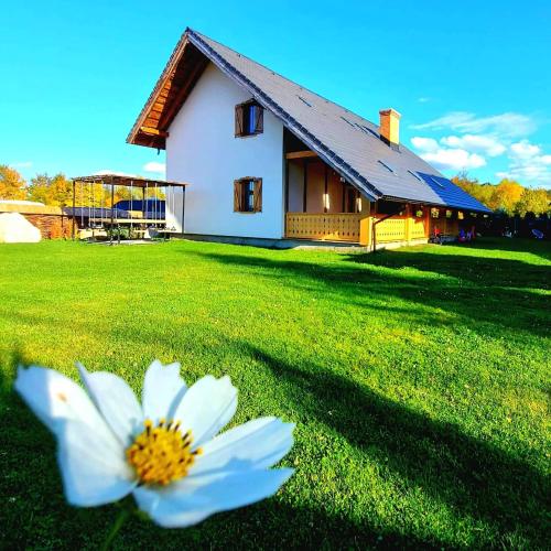 Cuibul Braneanului in Bran, Romania