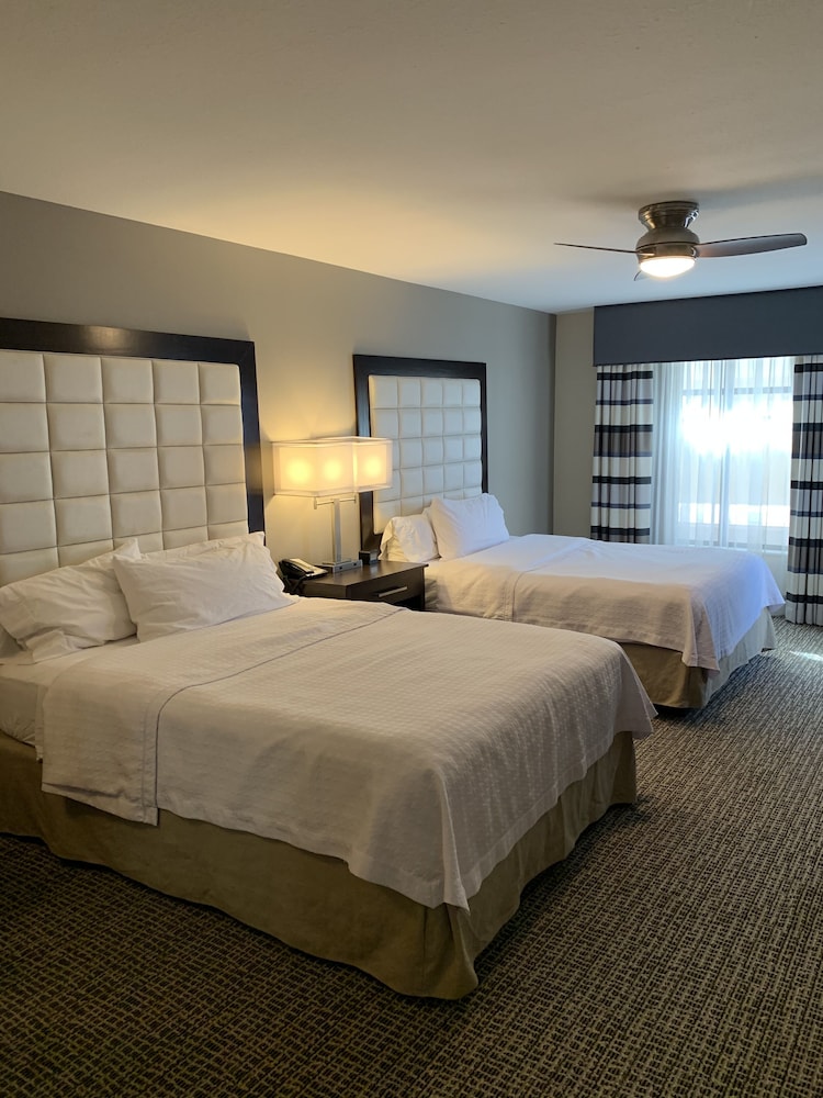 Homewood Suites by Hilton Munster - photo 5