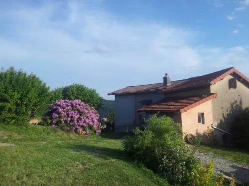 Les Hauts De Thiers — Thiers