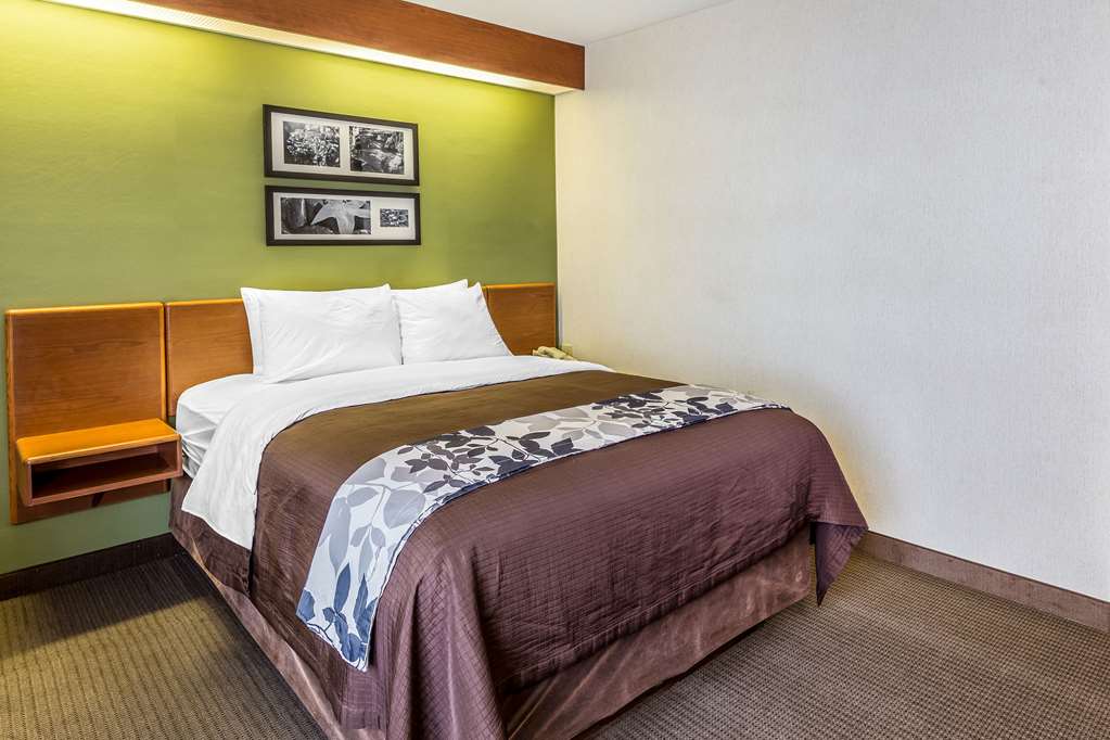 Sleep Inn & Suites Bay View Acme Travers City - photo 10