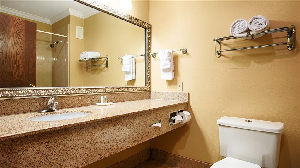 Best Western Plus Southpark Inn & Suites - photo 14