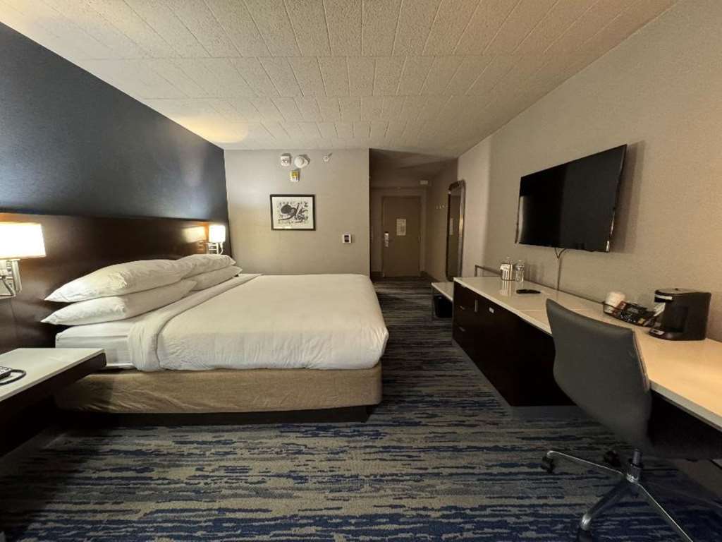 Skyline Hotel Detroit Airport SureStay Collection by BW - photo 22