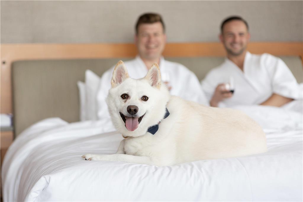 Hyatt Regency Lake Washington at Seattle s Southport - photo 56