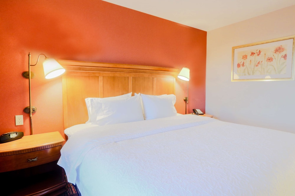 Hampton Inn & Suites by Hilton Tomball Houston NW - photo 11