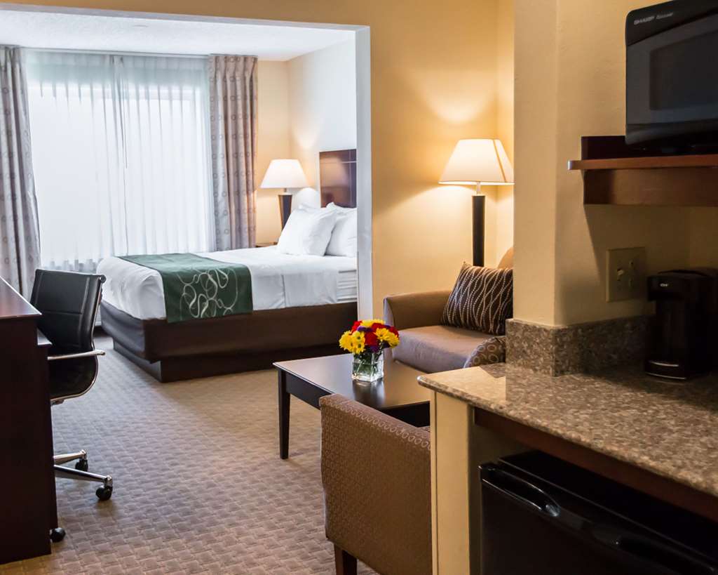 Comfort Suites University Area Notre Dame South Bend - photo 8