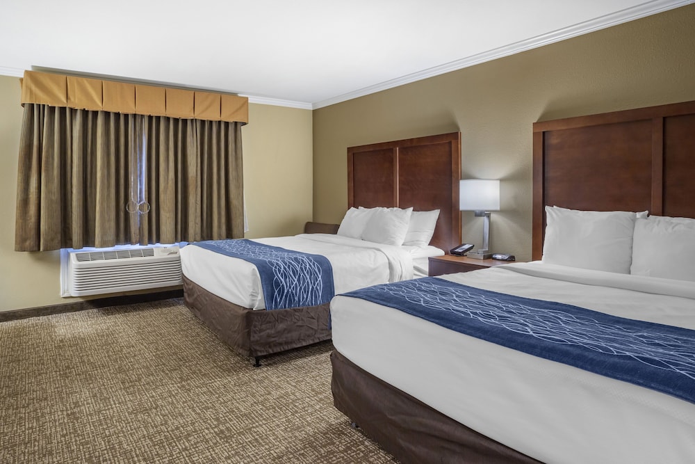 Comfort Inn Sunnyvale Silicon Valley - photo 25