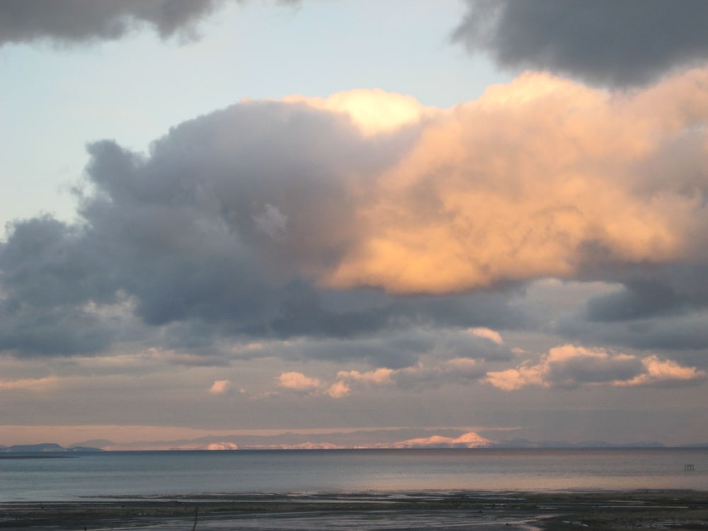 Dungeness Bay Cottages - photo 52