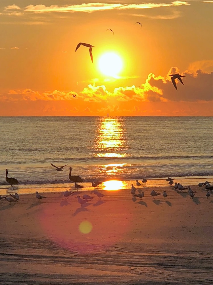 Hotel Tybee - photo 50
