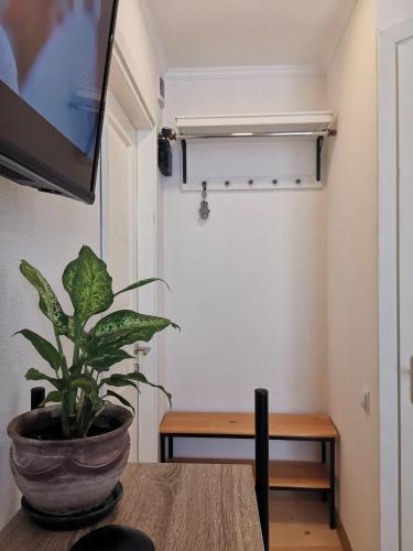 InGeo Rooms in Tbilisi center