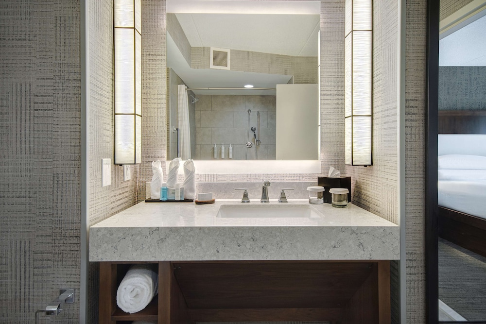 Embassy Suites by Hilton Detroit Metro Airport - photo 25