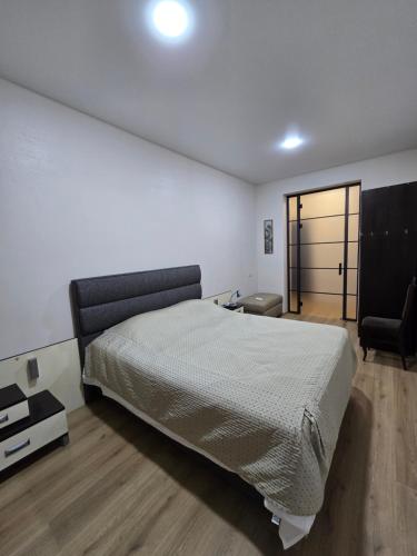 Apartment on Abashidze street