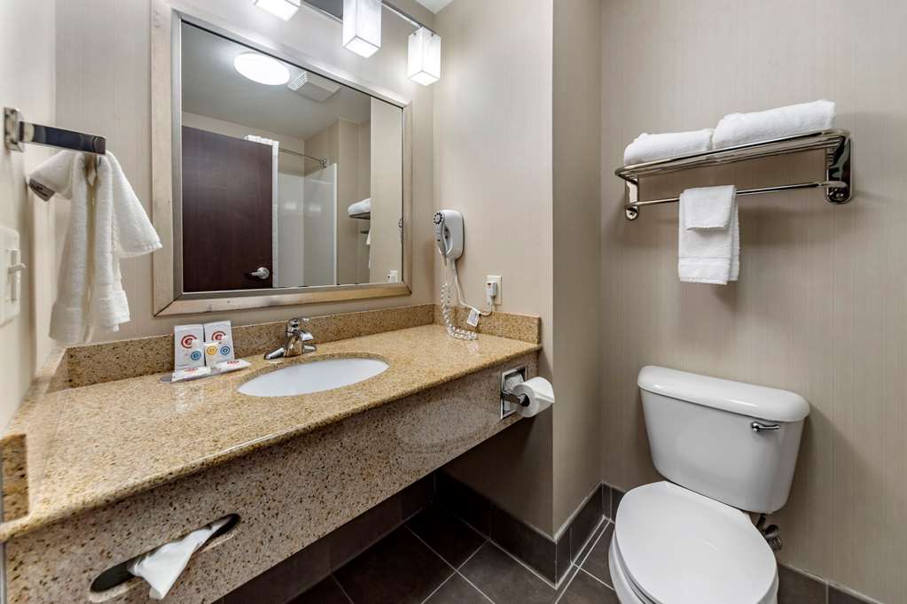 Comfort Inn & Suites Oklahoma City West I 40 - photo 15