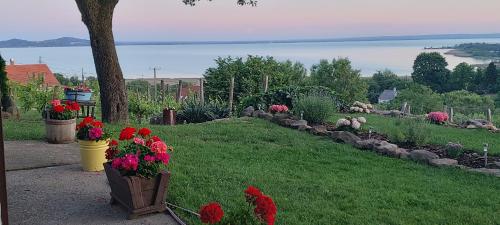 100 éves Présház in Badacsonytomaj, Hungary