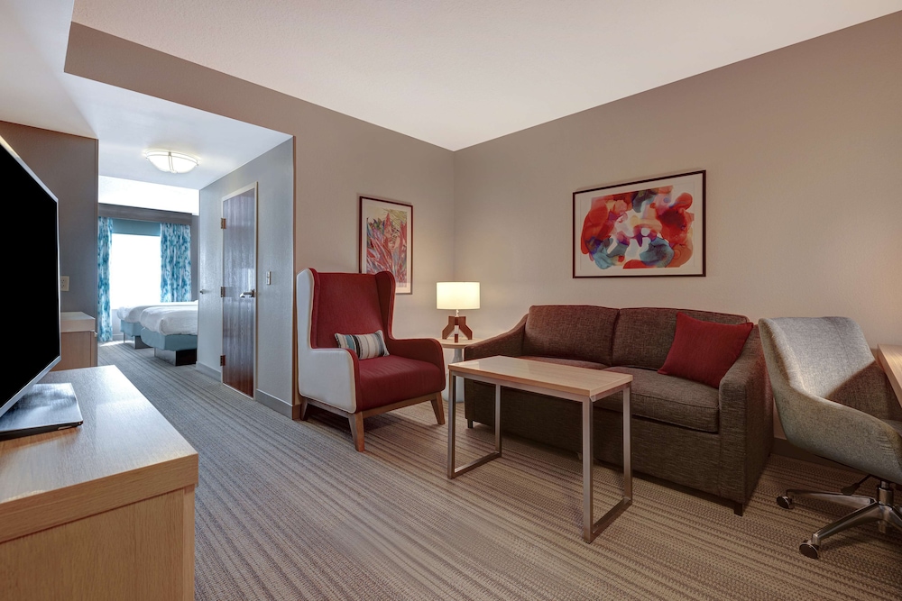 Hilton Garden Inn Tampa Northwest Oldsmar - photo 12