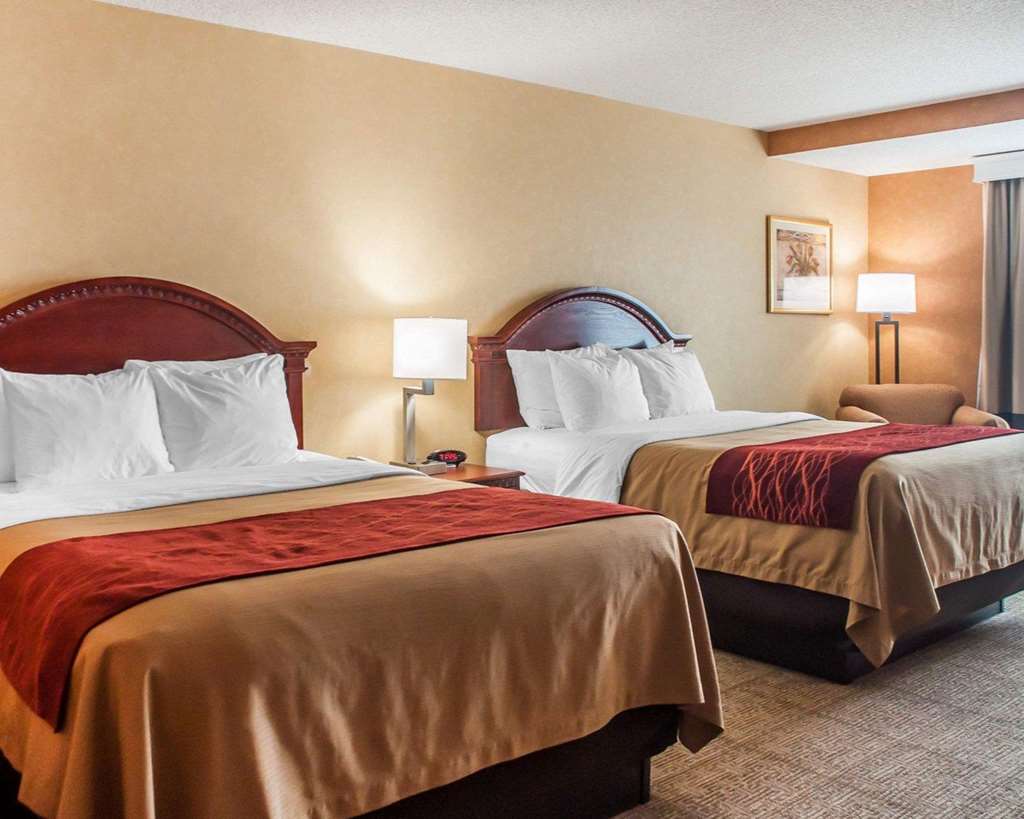 Quality Inn Near Walden Galleria Mall - photo 8