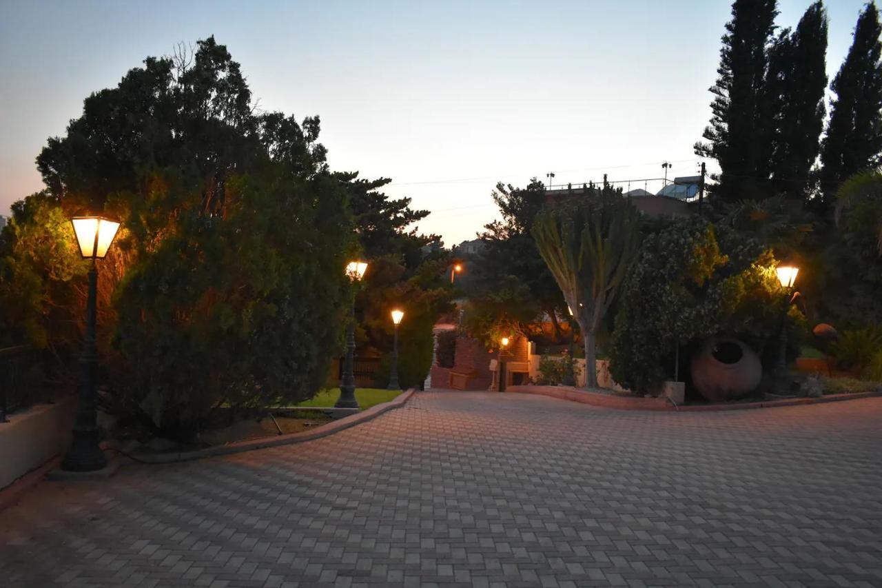 Olive Tree Apartments