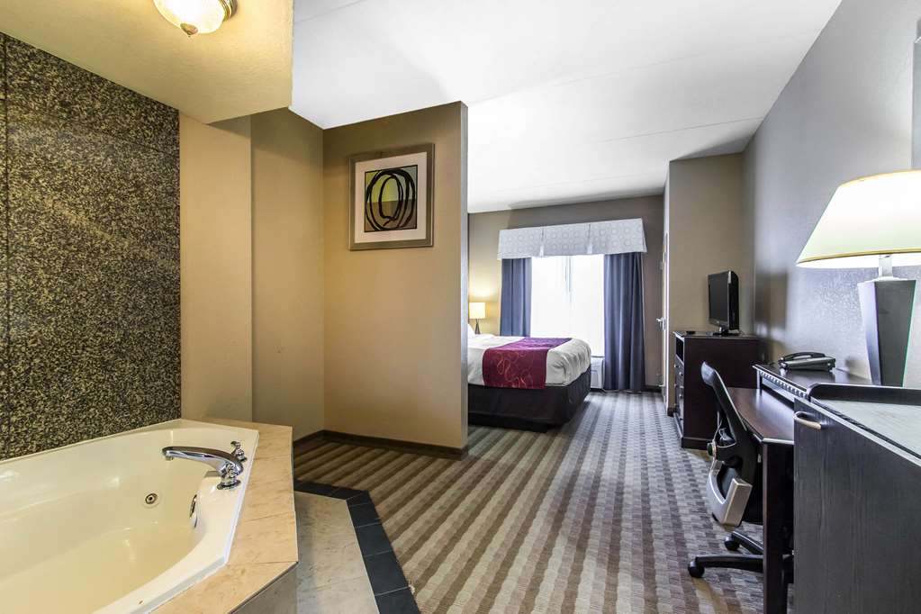 Comfort Suites Smyrna Nashville Area - photo 21
