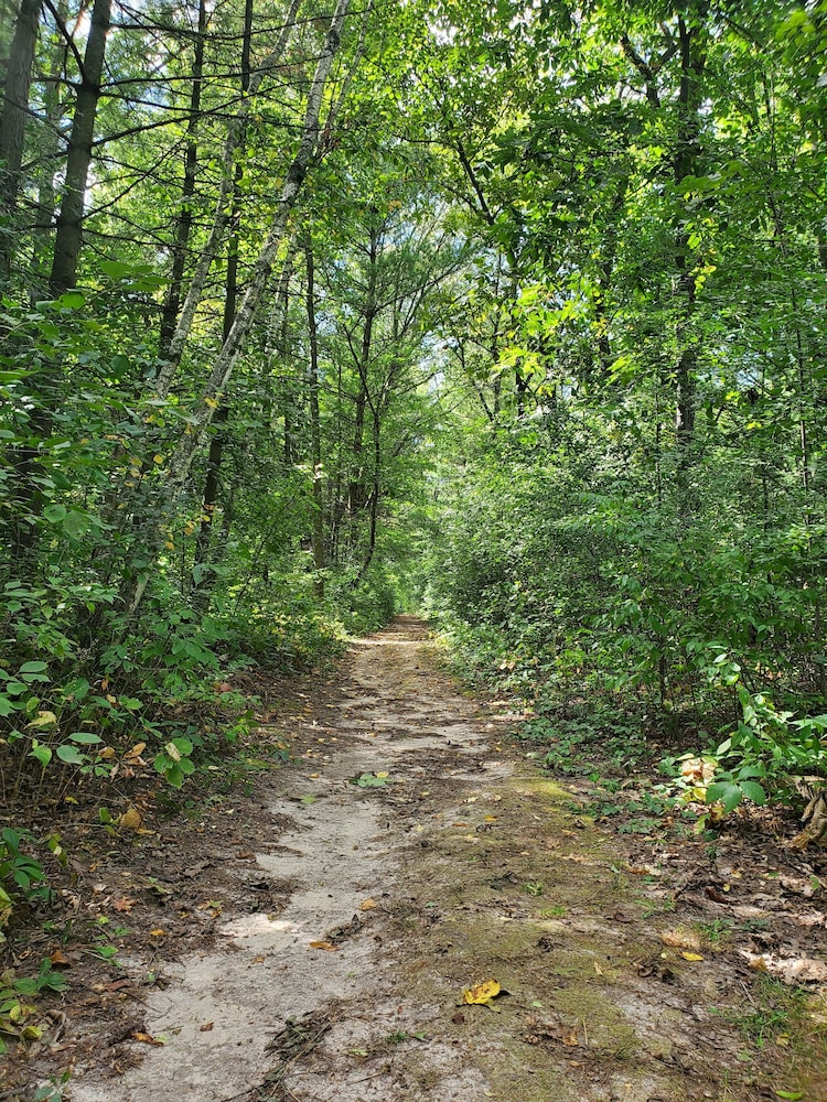 Birchcliff Resort - photo 126