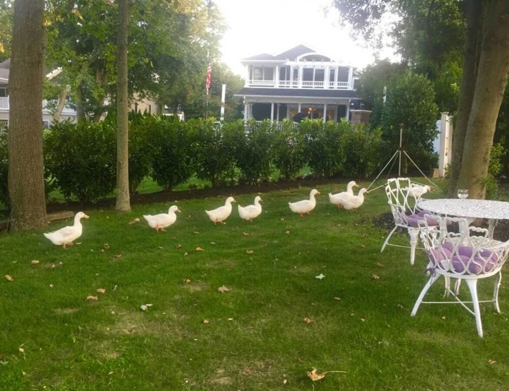 Walden on the Pond Hotel - carbon neutral hotel in Spring Lake