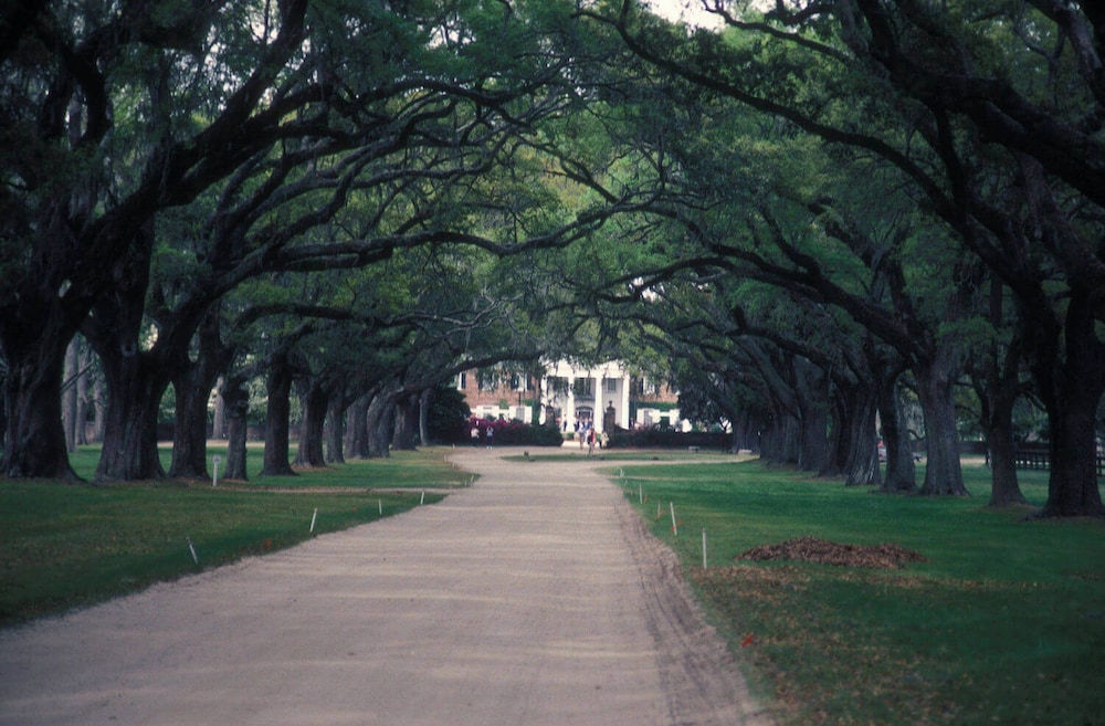 Charleston Marriott - photo 61