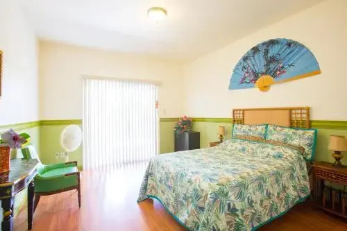 Coconut Palms Vacation Rental near lava fields and beaches — 4-Star Luxury Hotel in None, United States