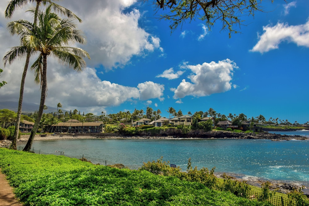 Napili Point C40 NP C40 Beautiful OceanFront 2BD Ocean View AC - photo 42
