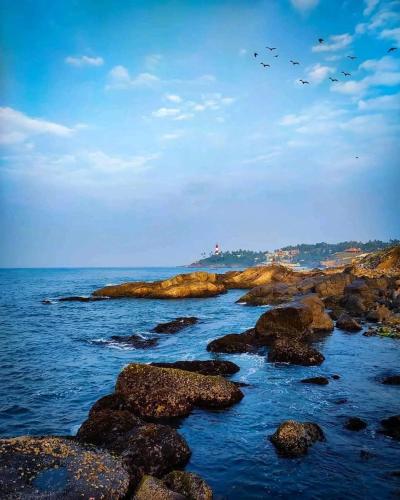 Annie’s Villa — Kovalam — photo 4