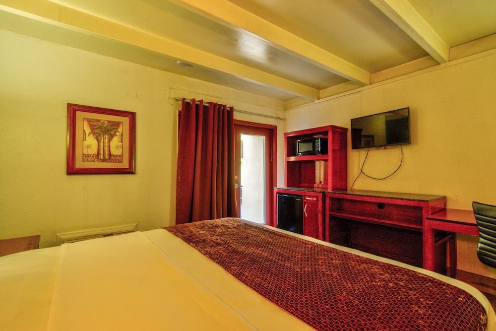 Clearwater Hotel - photo 15