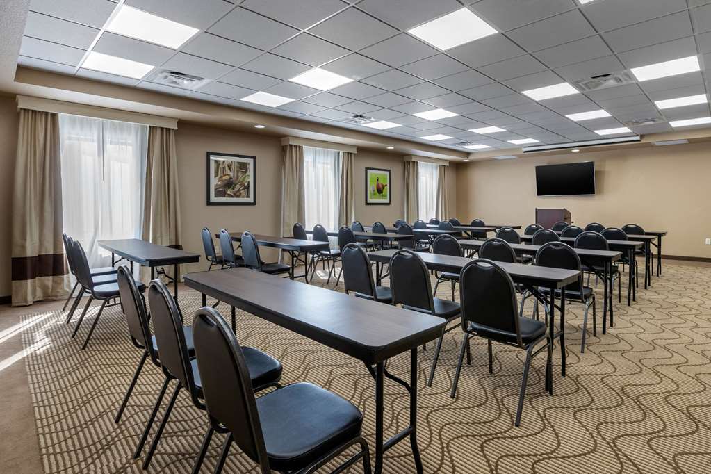 Comfort Inn & Suites Cedar Rapids CID Eastern Iowa Airport - photo 43