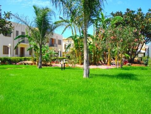 Le Palme di Conturrana Tropicale in San Vito Lo Capo, Italy