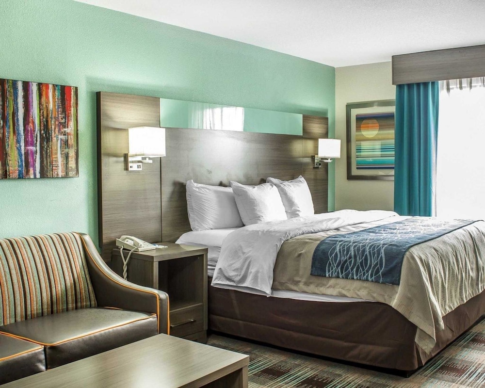 Comfort Inn Dunn near I 95 - photo 4