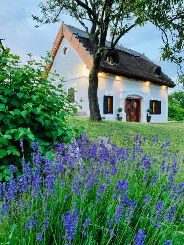 Kál Kőve Vendégház és Bortéka in Unknown City, Hungary