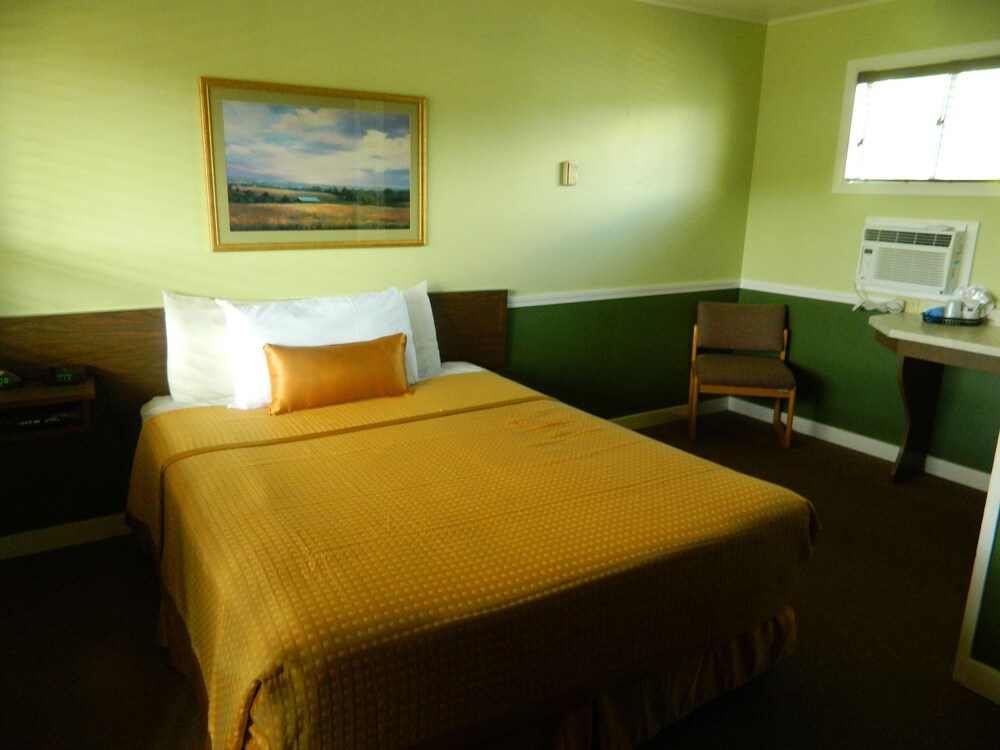 Country Motor Inn - photo 15