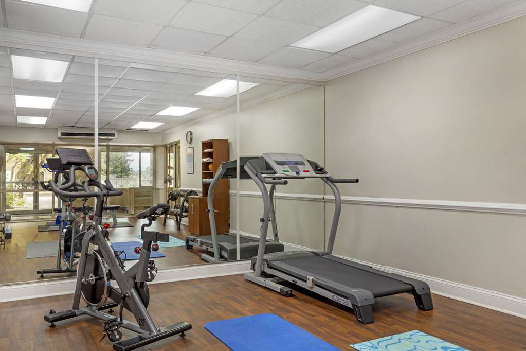 Comfort Suites Inn at Ridgewood Farm - photo 27