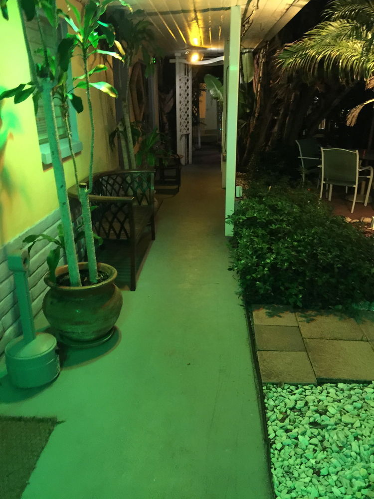 Amber Tides Motel - photo 45