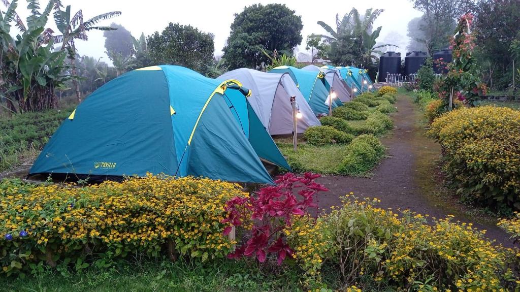 The Gate Rinjani - carbon neutral hotel in Bayeuen