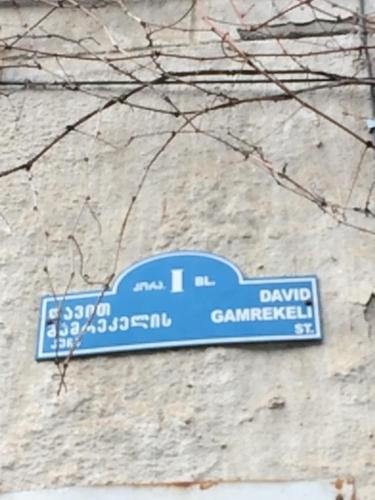 Vip Apartment at Gamrekeli str 1