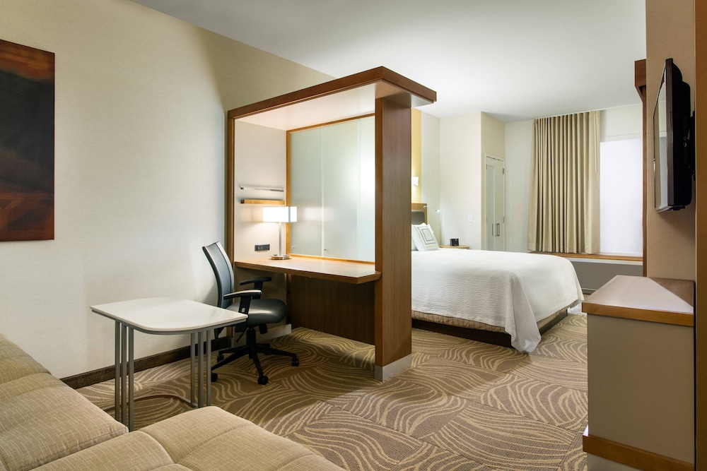 SpringHill Suites Los Angeles Burbank Downtown - photo 21