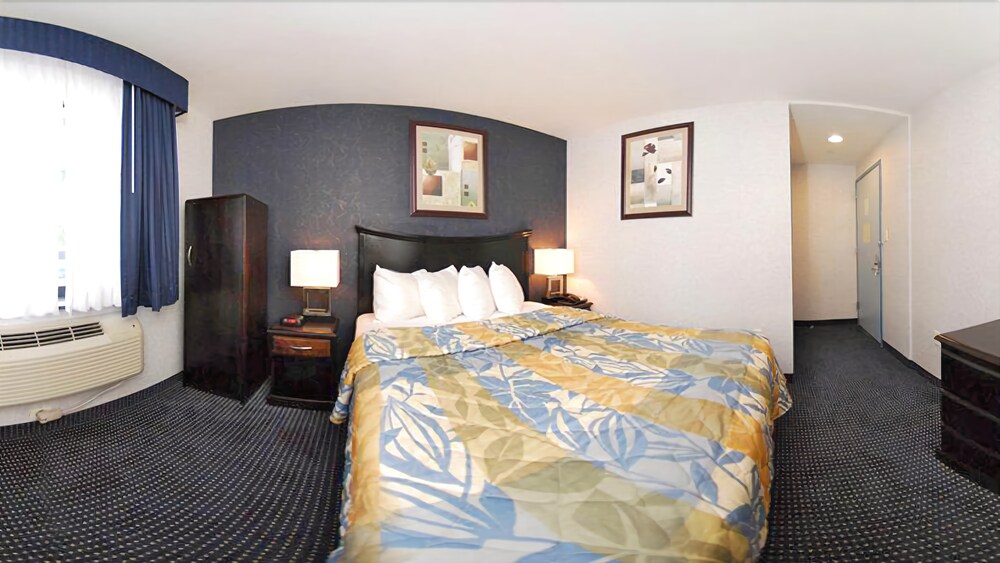 Paramount Inn - photo 7