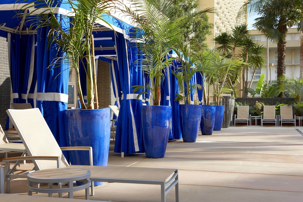Four Points by Sheraton Los Angeles International Airport - photo 29