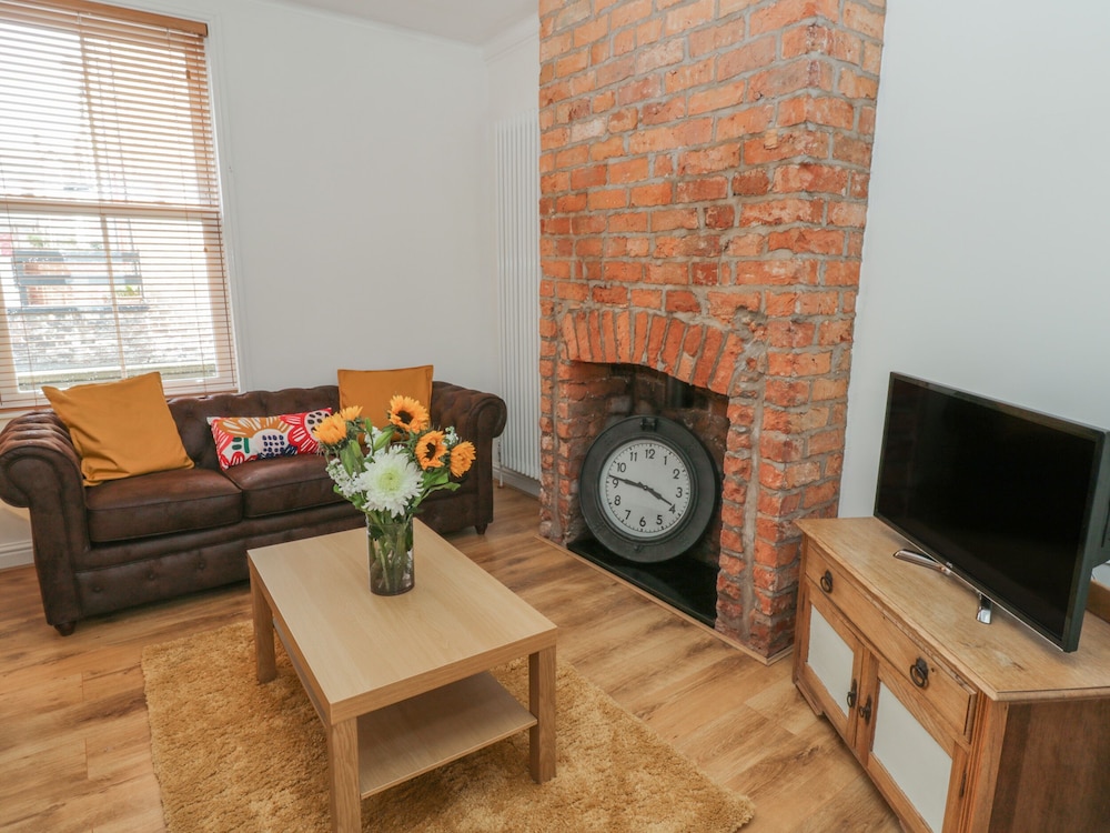 Laridae in Whitby, United Kingdom