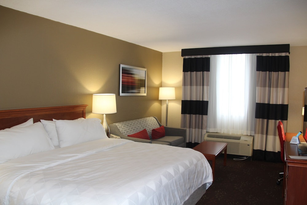 Holiday Inn Alexandria by IHG - photo 16