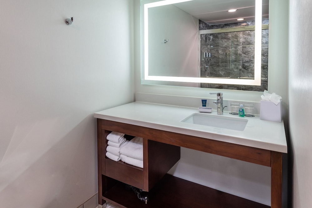 Four Points by Sheraton Atlanta Airport West - photo 13