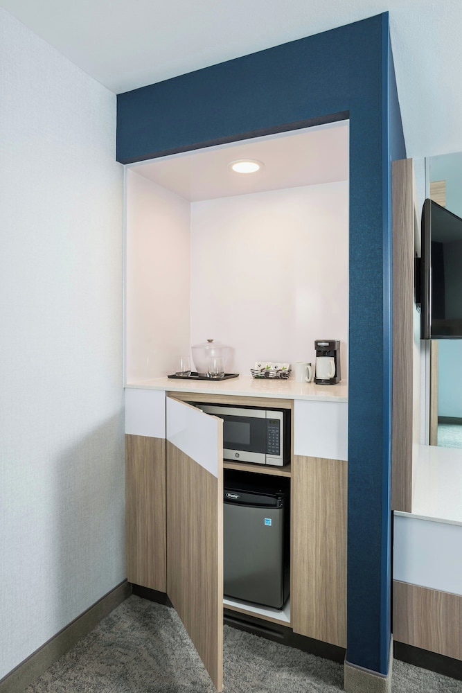 SpringHill Suites by Marriott Madison - photo 8