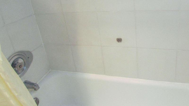 Mountain Star Inn - photo 118