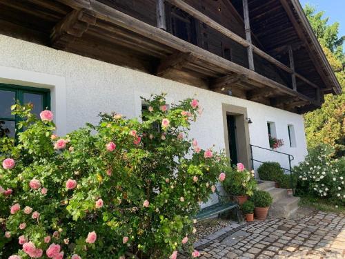 Ferienhaus Rötzer Maria — Grafenau — photo 3